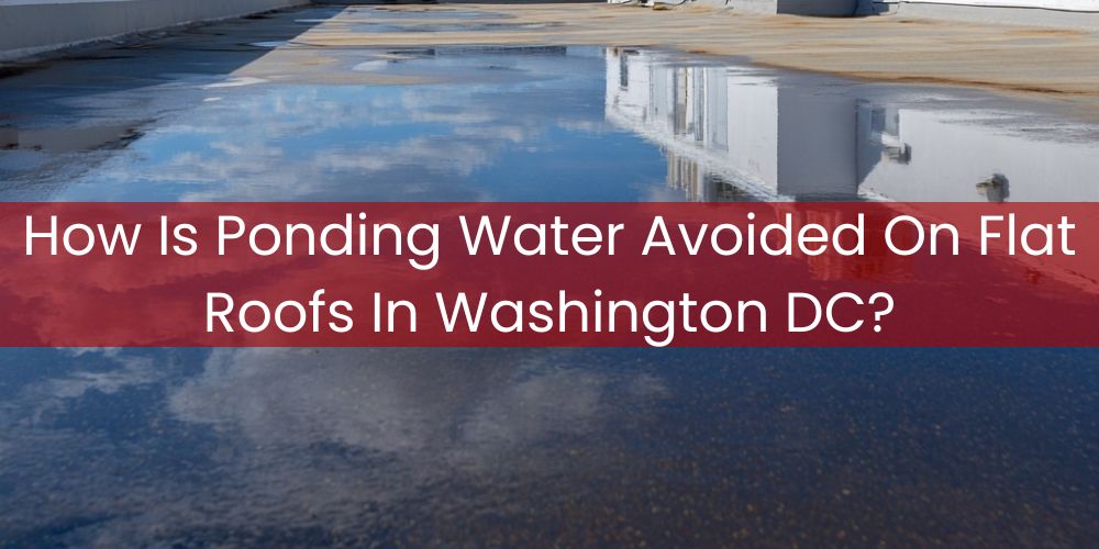 blog/how-is-ponding-water-avoided-on-flat-roofs-in-washington-dc.jpg